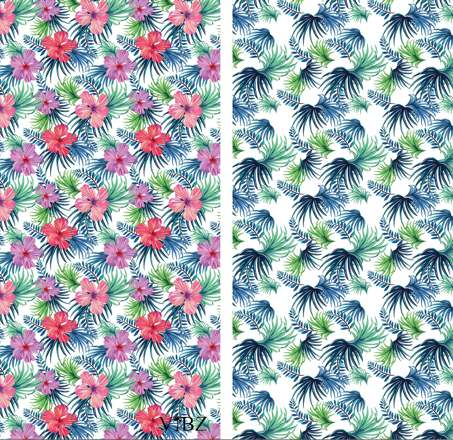 Hibiscus - Image 4
